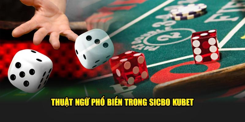 thuat ngu trong sicbo kubet